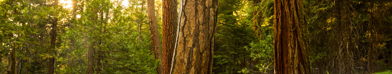 Outdoor Ministry Supply